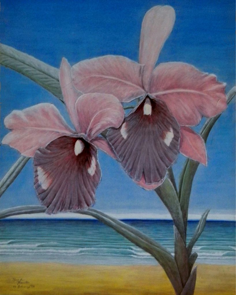 1985 Orchids in Waimea Hawaii 054-018 Damaged original.