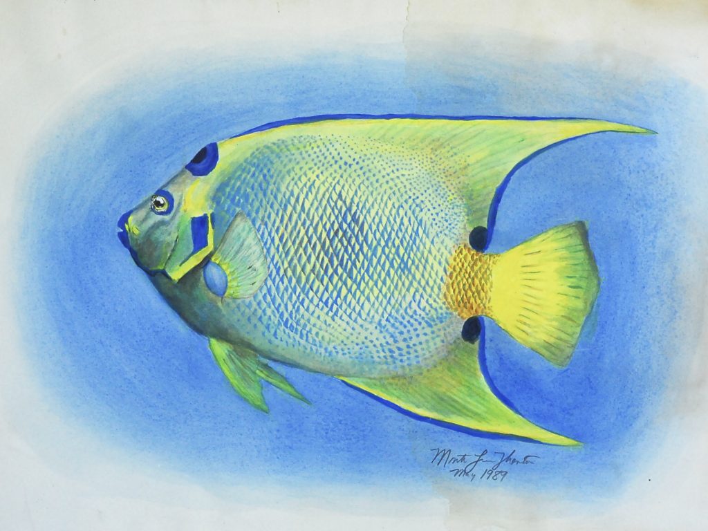 Queen Angelfish series 1 of 3. Painted in 1989 by Monte Thornton. Prints only