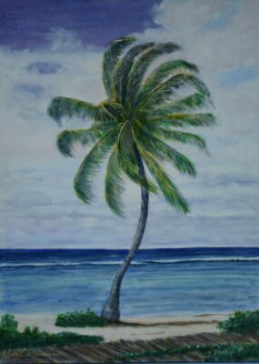 Pin wheel Coconut tree at lagoon on southwest end of Cayman Brac. By Monte Thornton. 18" x 24" 2013.